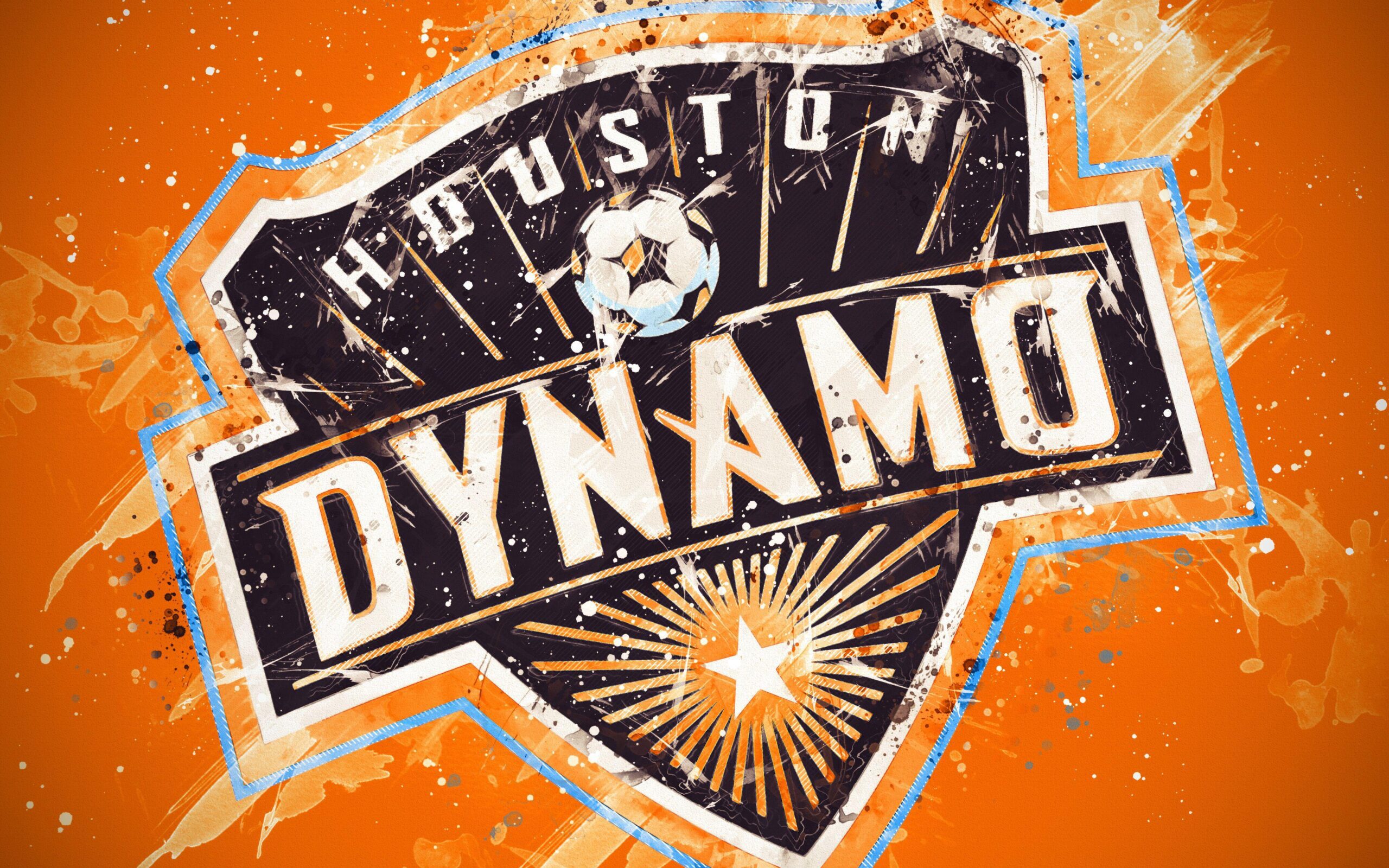 Read more about the article Family Fun at Houston Dynamo Soccer Game