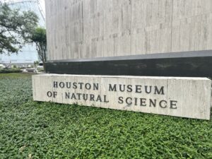 Read more about the article A Parent’s Guide to Natural History Museums: Making It Fun for All Ages