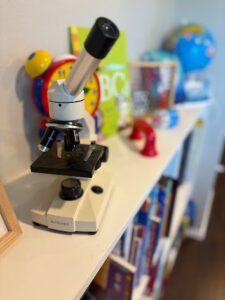 Read more about the article How to Set Up a Successful Homeschool Room: 3 Essentials Every Family Needs