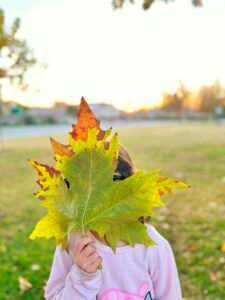 Read more about the article 50 Fun and Free Fall Activities for Families: Enjoy Autumn Without Spending a Dime