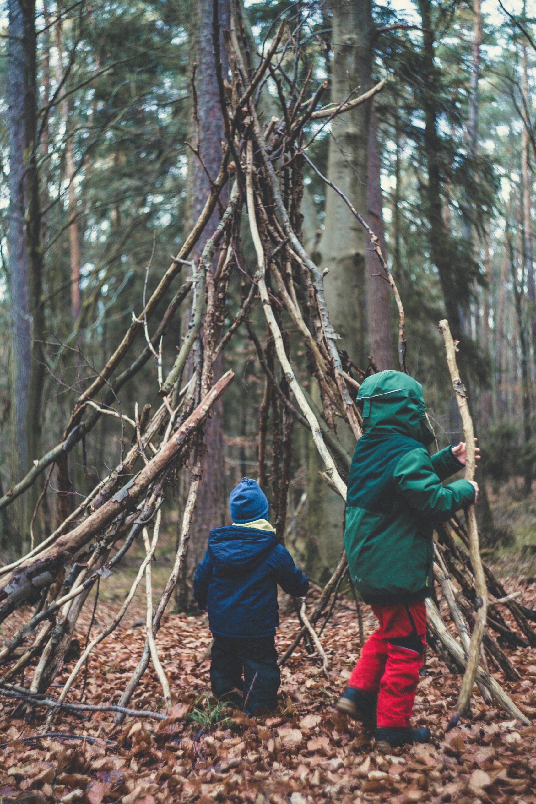 Read more about the article Simple Nature Activities for Homeschooling: Outdoor Learning Ideas for Every Season